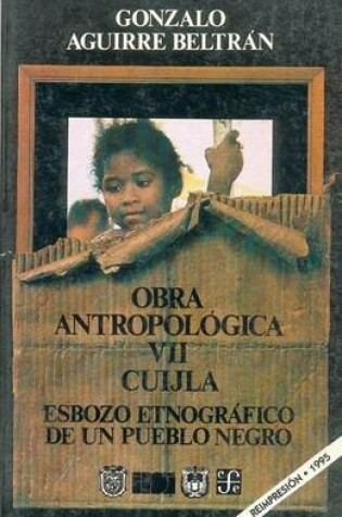 Cover of Obra Antropolgica, VII