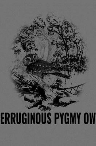 Cover of Ferruginous Pygmy Owl