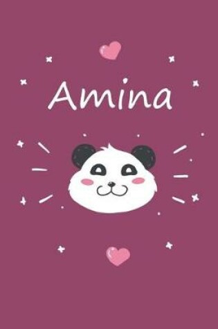 Cover of Amina