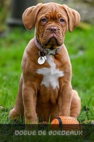 Cover of Dogue De Bordeaux