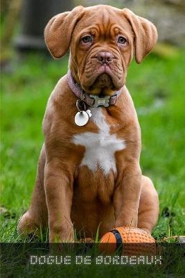 Book cover for Dogue De Bordeaux