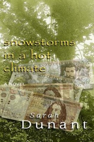 Cover of Snowstorms in a Hot Climate