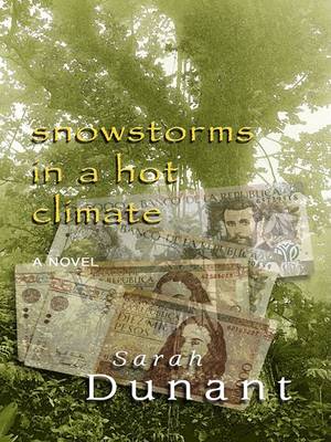 Book cover for Snowstorms in a Hot Climate