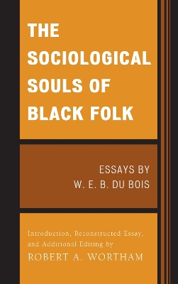 Book cover for The Sociological Souls of Black Folk