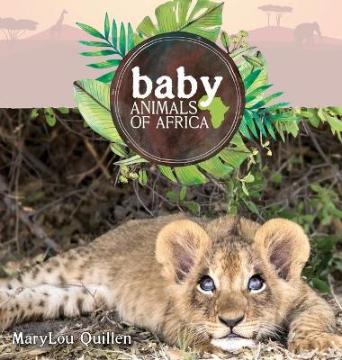 Book cover for Baby Animals of Africa