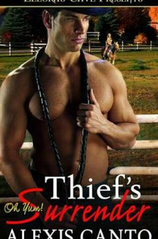 Cover of Thief's Surrender