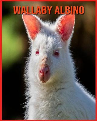 Cover of Wallaby Albino