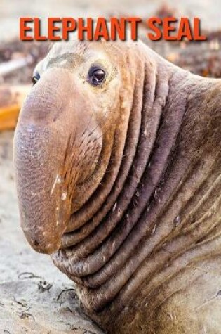 Cover of Elephant Seal