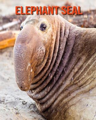 Book cover for Elephant Seal