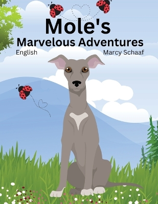 Book cover for Mole's Marvelous Adventures