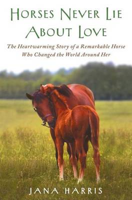 Book cover for Horses Never Lie about Love