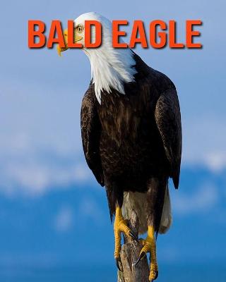 Book cover for Bald Eagle