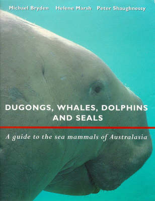 Cover of Dugongs, Whales, Dolphins and Seals