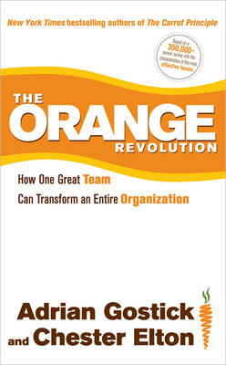 Book cover for The Orange Revolution