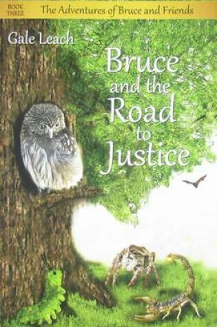 Cover of Bruce and the Road to Justice