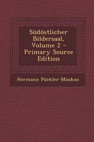 Cover of Sudostlicher Bildersaal, Volume 2 - Primary Source Edition