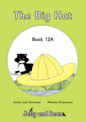 Book cover for The Big Hat