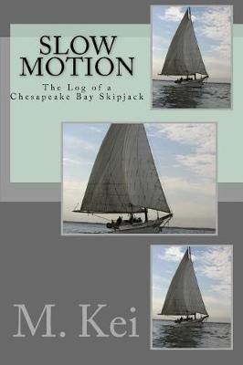 Book cover for Slow Motion