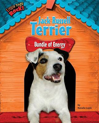 Book cover for Jack Russell Terrier