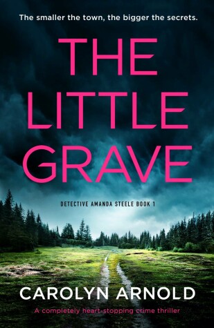Book cover for The Little Grave