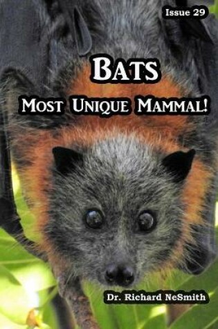 Cover of Bats