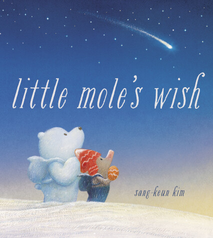 Book cover for Little Mole's Wish