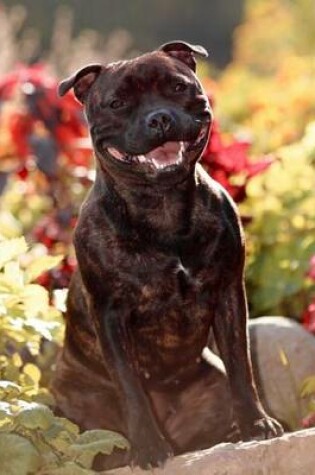 Cover of Staffordshire Bull Terrier