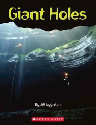 Book cover for Giant Holes