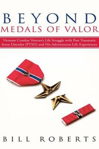 Cover of Beyond Medals of Valor