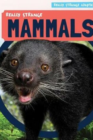 Cover of Really Strange Mammals