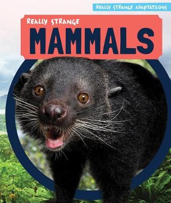 Book cover for Really Strange Mammals