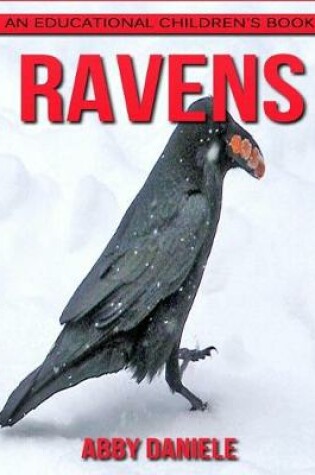 Cover of Ravens! An Educational Children's Book about Ravens with Fun Facts & Photos