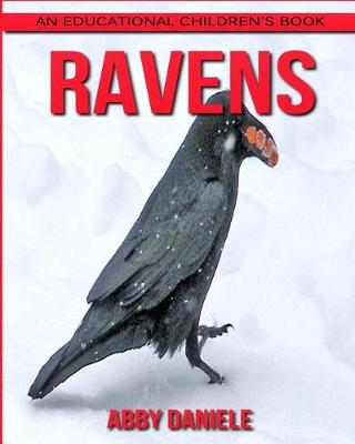 Book cover for Ravens! An Educational Children's Book about Ravens with Fun Facts & Photos