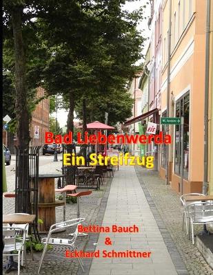 Book cover for Bad Liebenwerda