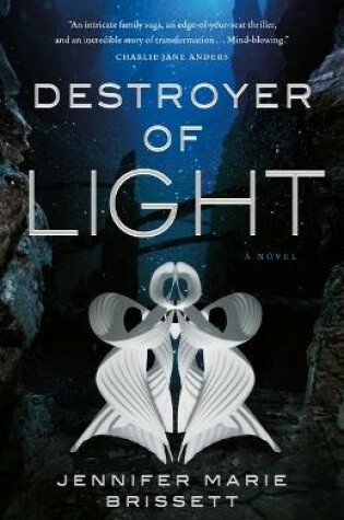 Cover of Destroyer of Light