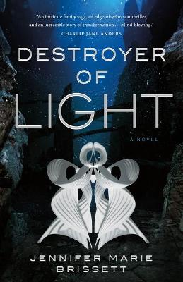 Cover of Destroyer of Light