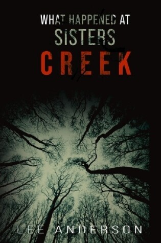 Cover of What Happened at Sisters Creek