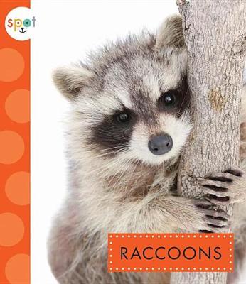 Cover of Raccoons