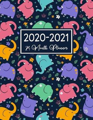 Book cover for 24 Month Planner 2020-2021