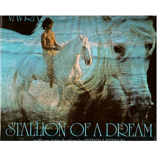 Book cover for Stallion of a Dream