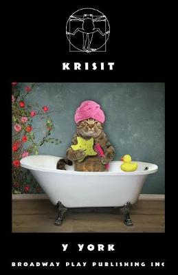 Book cover for Krisit