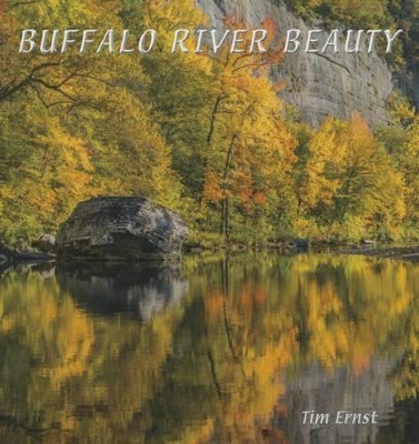 Book cover for Buffalo River Beauty