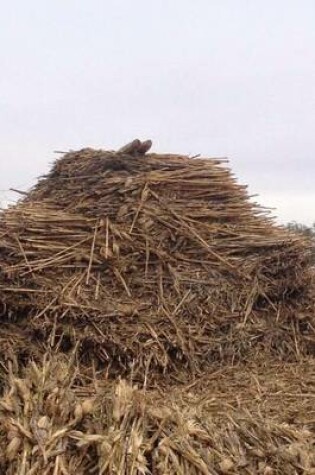 Cover of Huge Haystack on the Farm