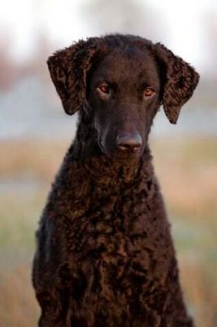 Cover of The Curly-Coated Retriever Dog Journal