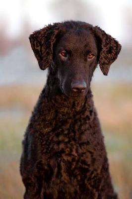 Book cover for The Curly-Coated Retriever Dog Journal