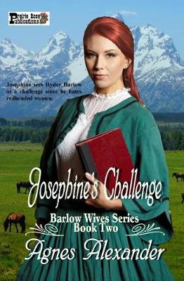 Book cover for Josephine's Challenge