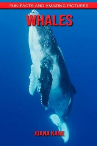 Cover of Whales