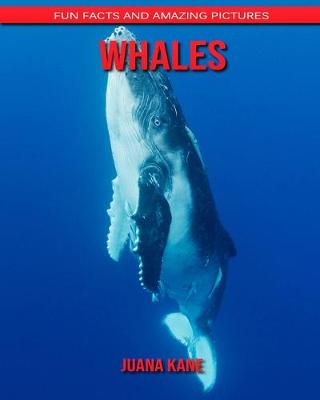 Book cover for Whales