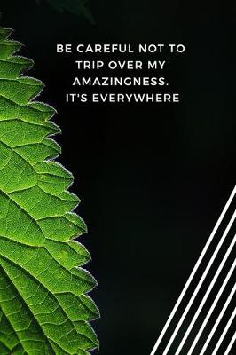 Book cover for Be careful not to trip over my amazingness. It's everywhere