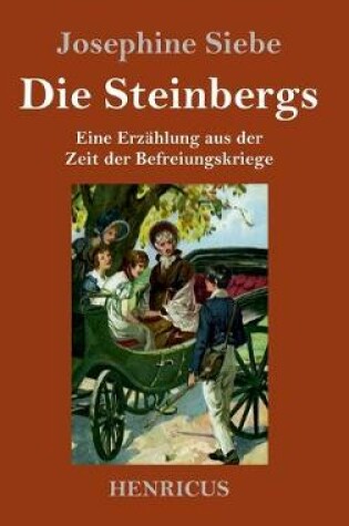 Cover of Die Steinbergs